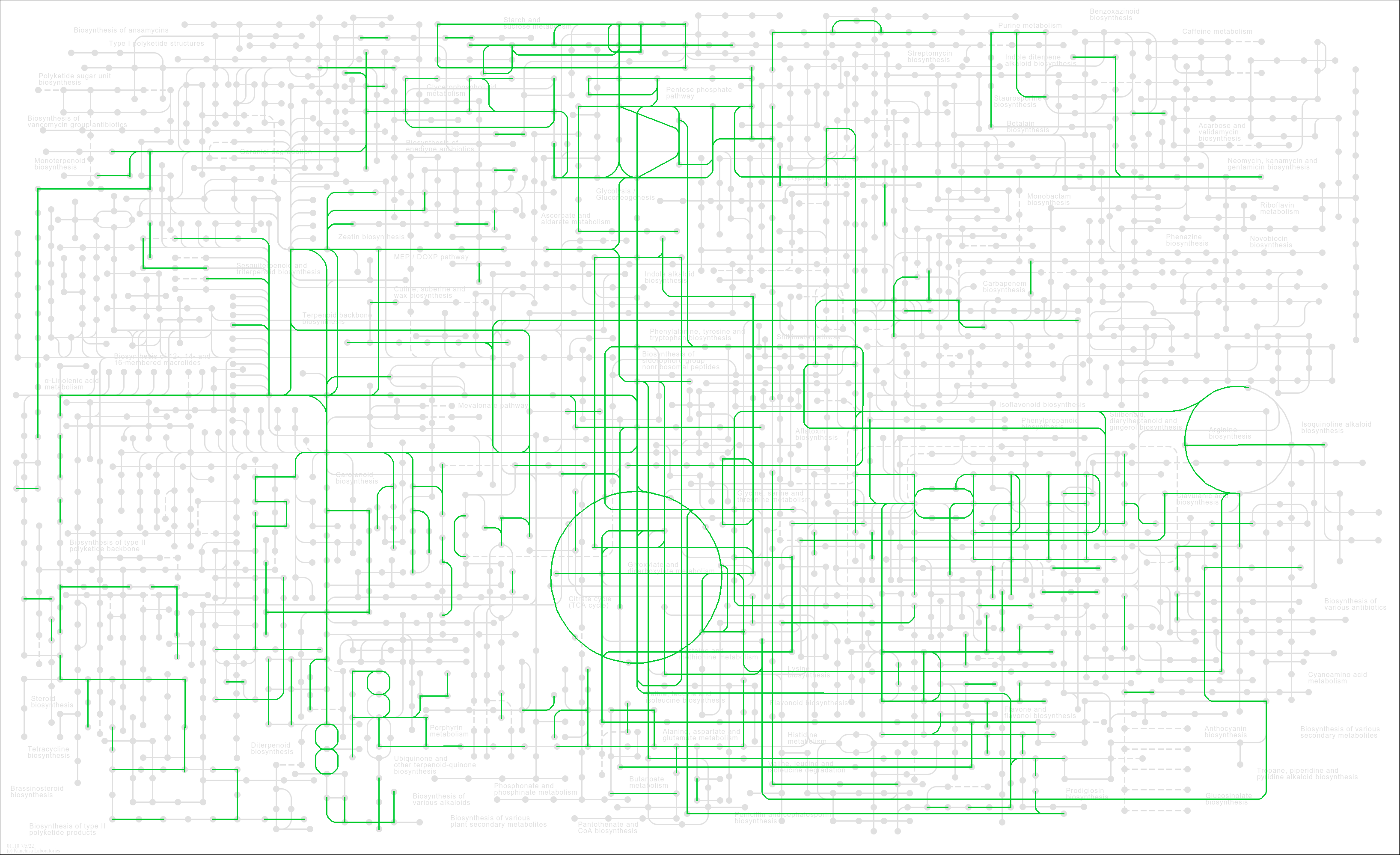 Genome annotation img 2